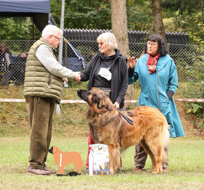 Leonberg Leistungsklasse